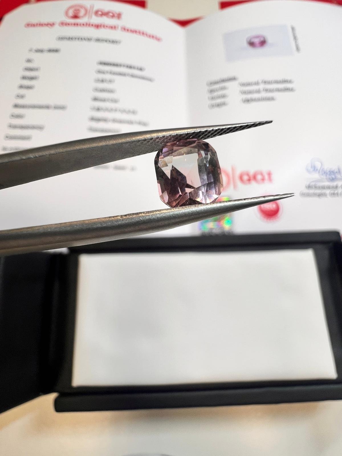 WhatsApp Image 2026-09-09 at 10.50.20 (2)